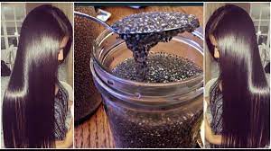 chia seeds for hair